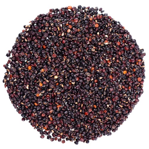 Komosa ryżowa czarna